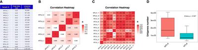 Metagenome Analysis of the Bacterial Characteristics in Invasive Klebsiella Pneumoniae Liver Abscesses